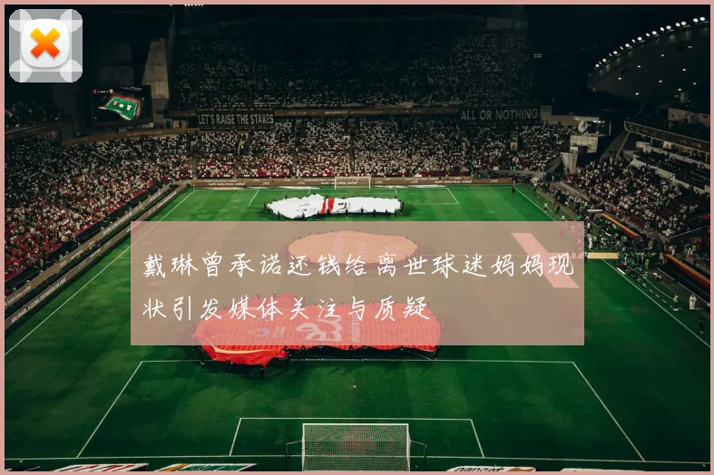 戴琳曾承诺还钱给离世球迷妈妈现状引发媒体关注与质疑