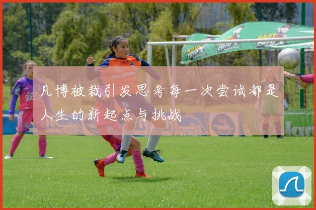 凡博被裁引发思考每一次尝试都是人生的新起点与挑战