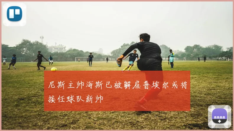 尼斯主帅海斯已被解雇普埃尔或将接任球队新帅