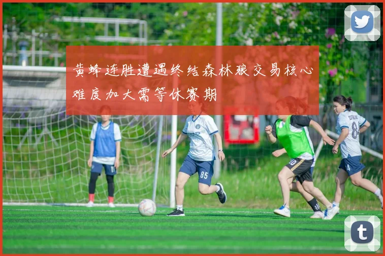 黄蜂连胜遭遇终结森林狼交易核心难度加大需等休赛期