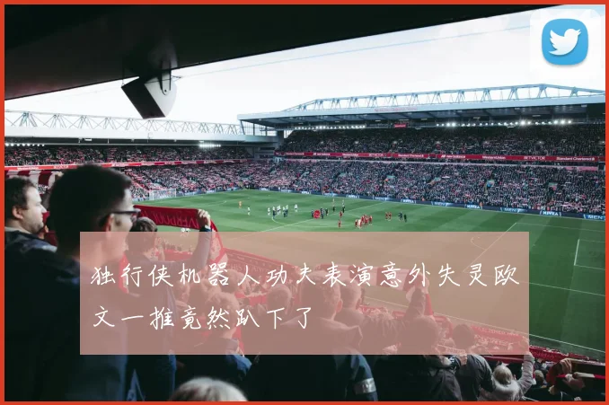 独行侠机器人功夫表演意外失灵欧文一推竟然趴下了