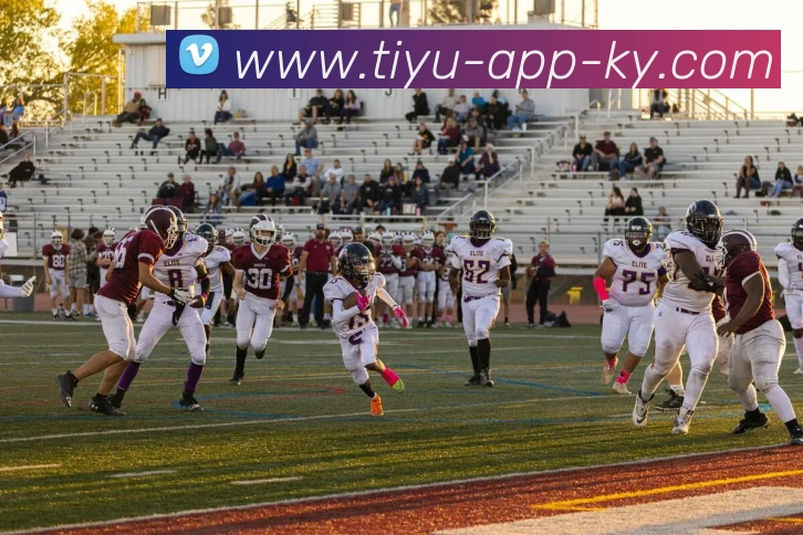 App Interface Preview